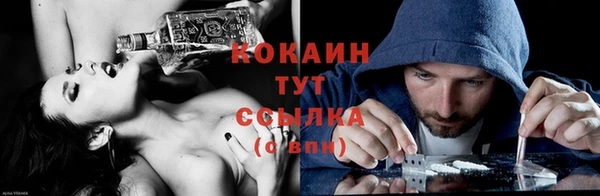 соль ск Алзамай