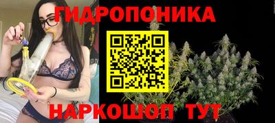прущие крисы Обнинск