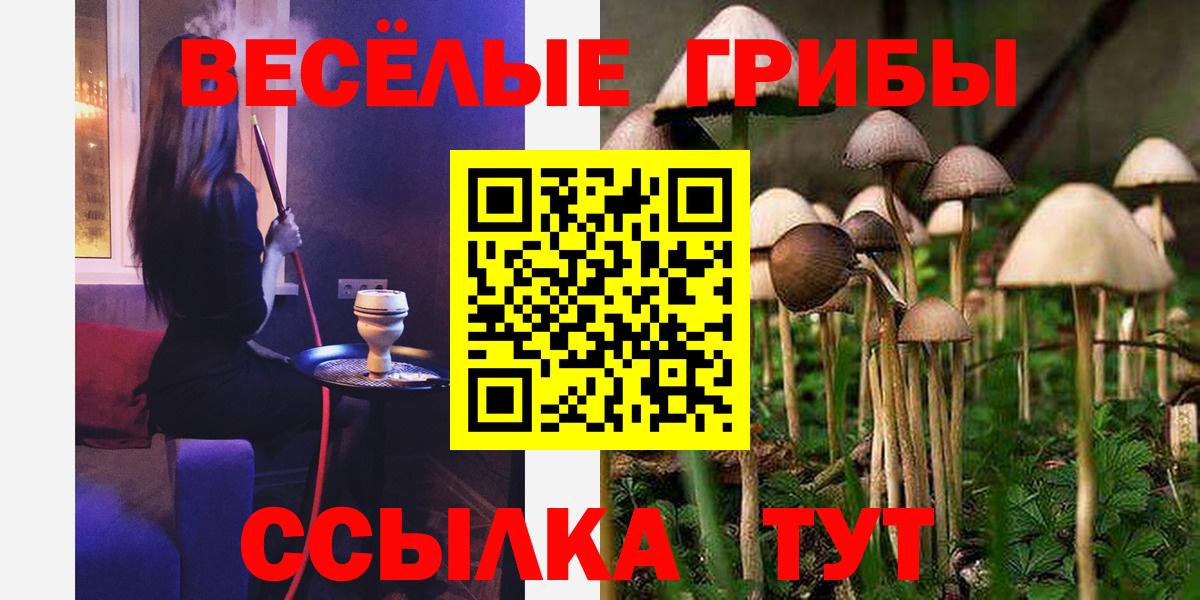Псилоцибиновые грибы прущие грибы Старый Оскол