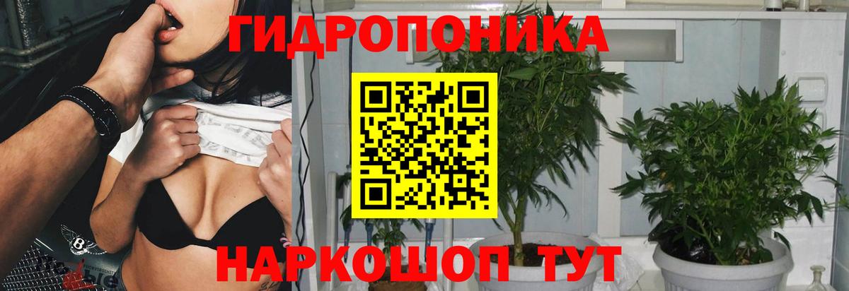 Марихуана индика  Вход с VPN  МАРИХУАНА VHQ  Старый Оскол  Каннабис семена 
